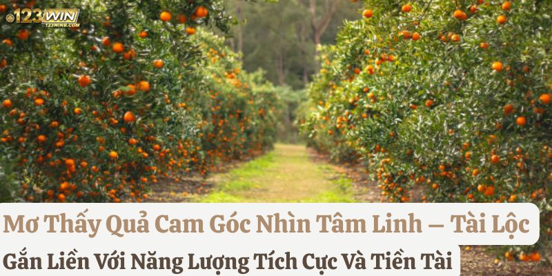 nằm mơ thấy quả cam