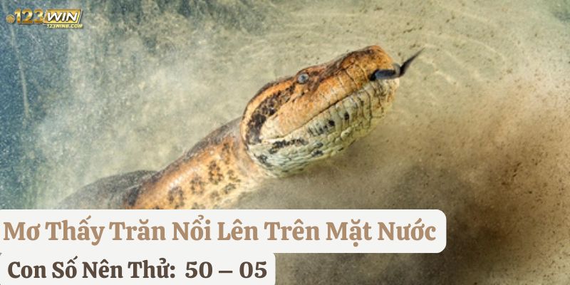 ngủ mơ thấy trăn