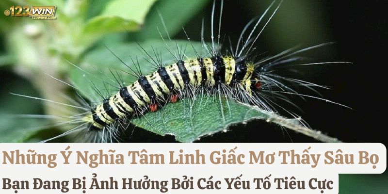 nằm mơ thấy sâu bọ