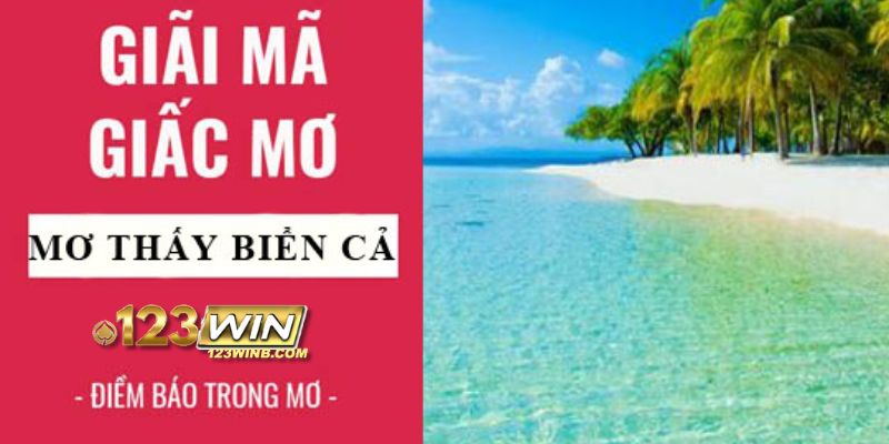 mơ thấy biển đánh số gì 123win thumb