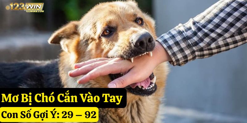 mơ thấy chó cắn 123win