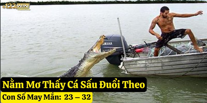 mơ cá sấu