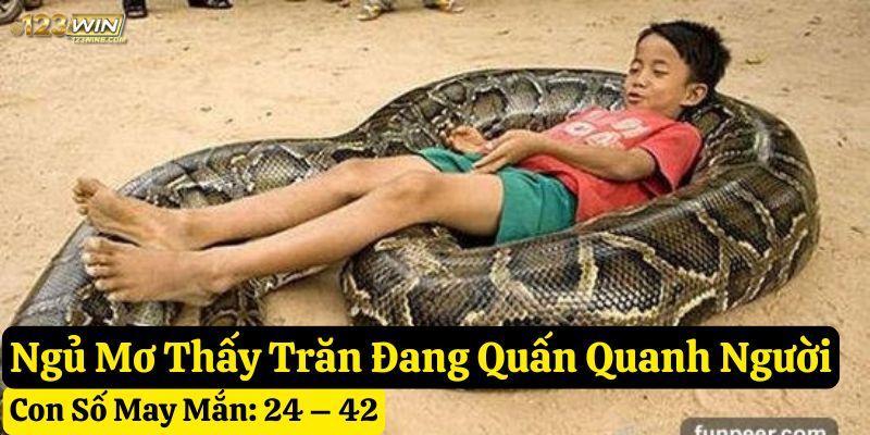 ngủ mơ thấy trăn 123win