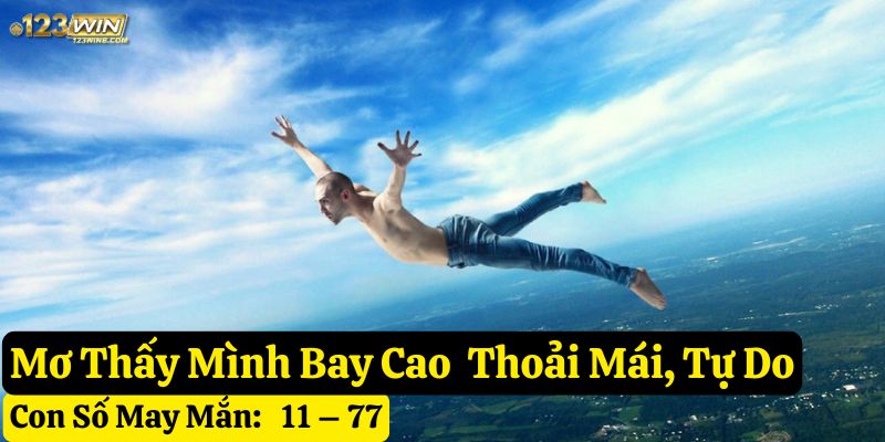 mơ thấy mình đang bay 123win