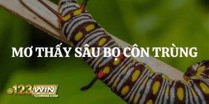 mơ thấy sâu bọ 123win thumb