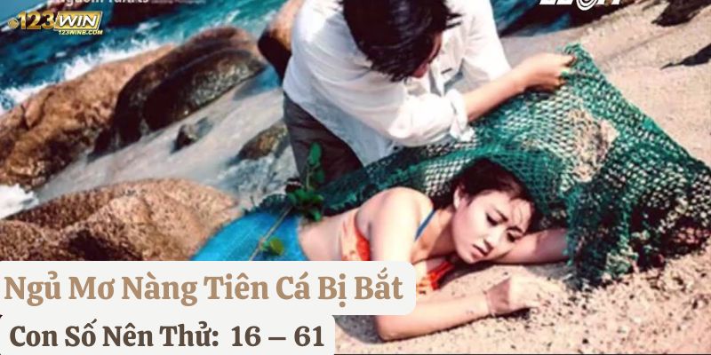 nằm mơ nàng tiên cá