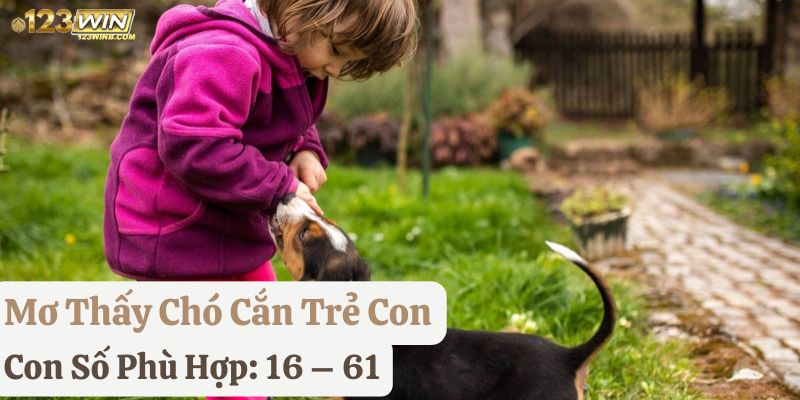 nằm mơ thấy bị chó cắn 123win