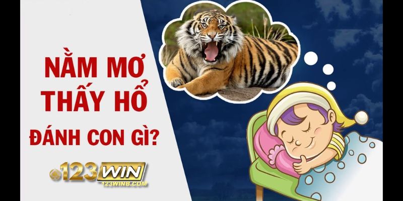 nằm mơ thấy hổ 123win thumb