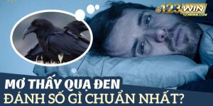 mơ thấy quạ 123win thumb