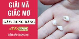 nằm mơ thấy rụng răng tốt hay xấu 123win