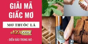 nằm mơ thấy thuốc lá 123win thumb