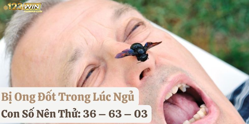 tự nhiên bị ong đốt đánh con gì