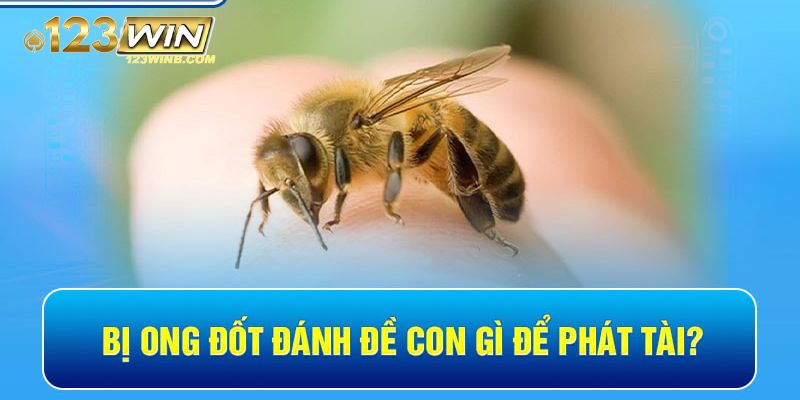 tự nhiên bị ong đốt đánh con gì 123win