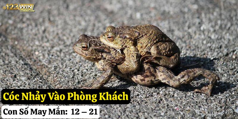 cóc vào nhà 123win