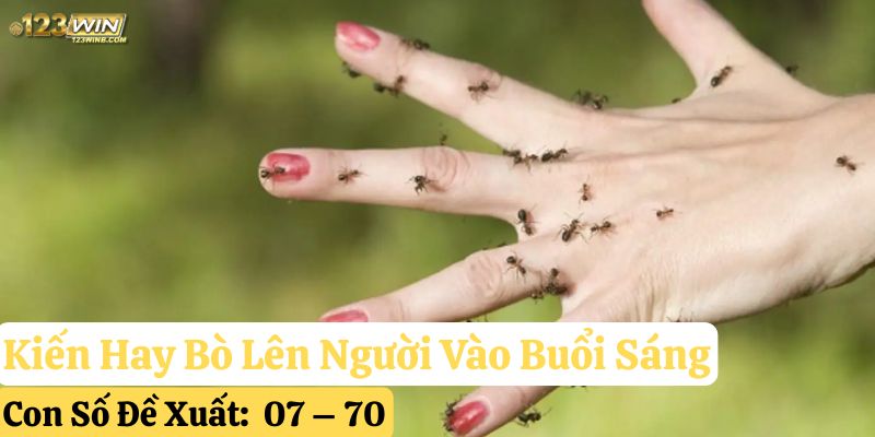 kiến hay bò lên người