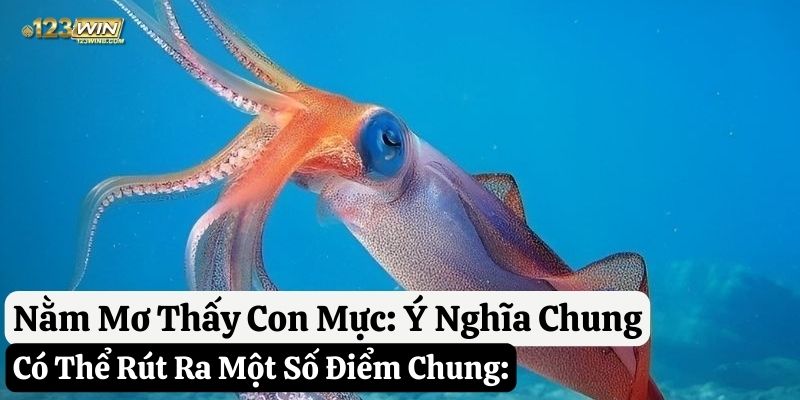 nằm mơ thấy con mực 123win
