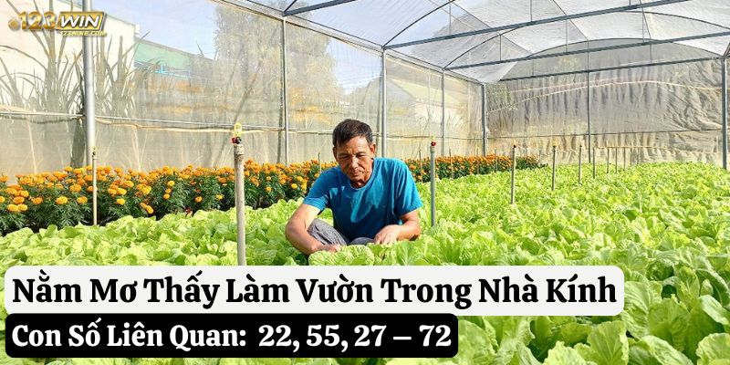 nằm mơ làm vườn