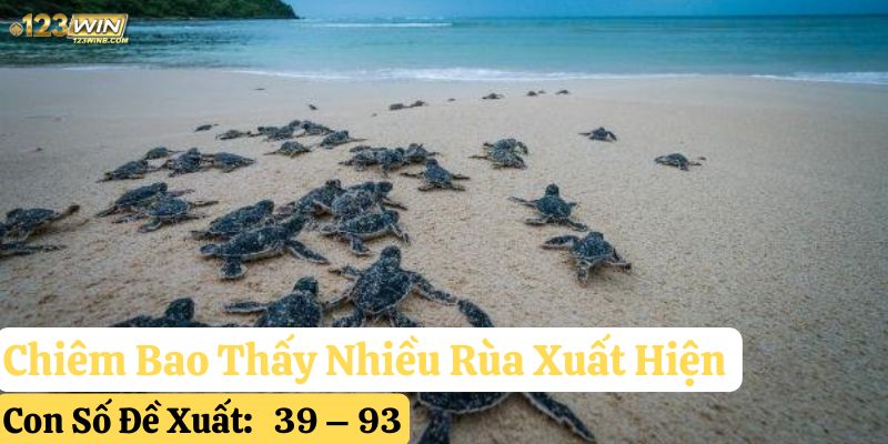 mơ thấy rùa 123win
