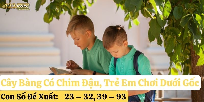 mơ thấy cây bàng 123win