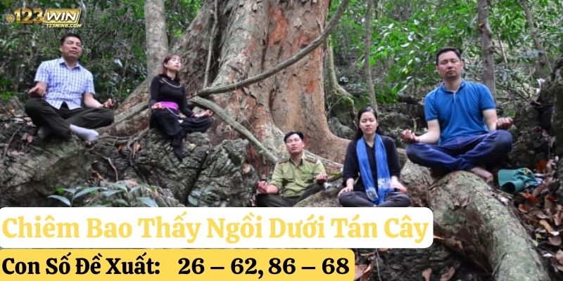 mơ cây cổ thụ