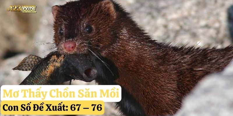 mơ thấy con chồn