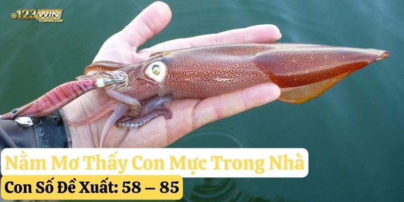 nằm mơ thấy con mực