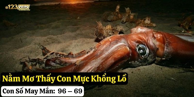 mơ thấy con mực