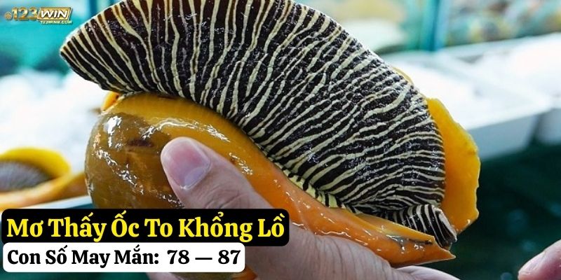 mơ thấy ốc 123win