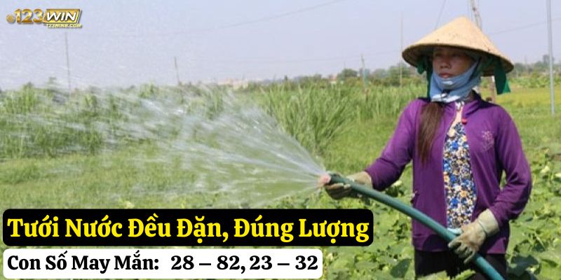 mơ thấy làm vườn