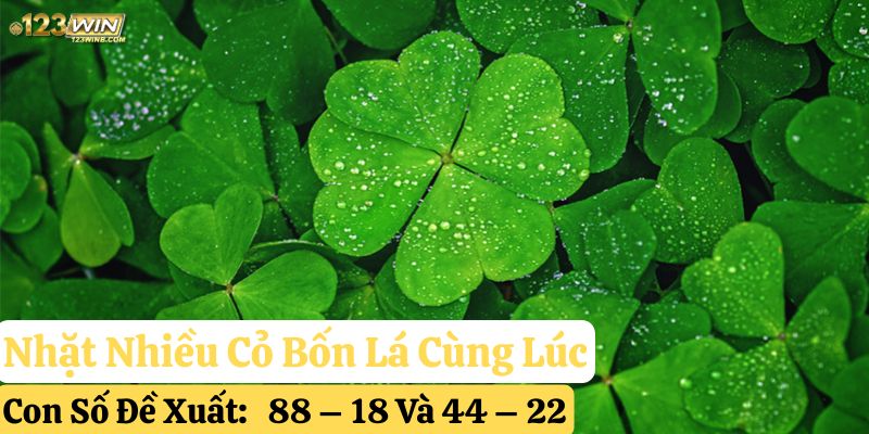 nhặt được cỏ bốn lá