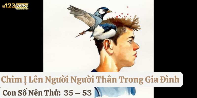 chim ỉa lên người