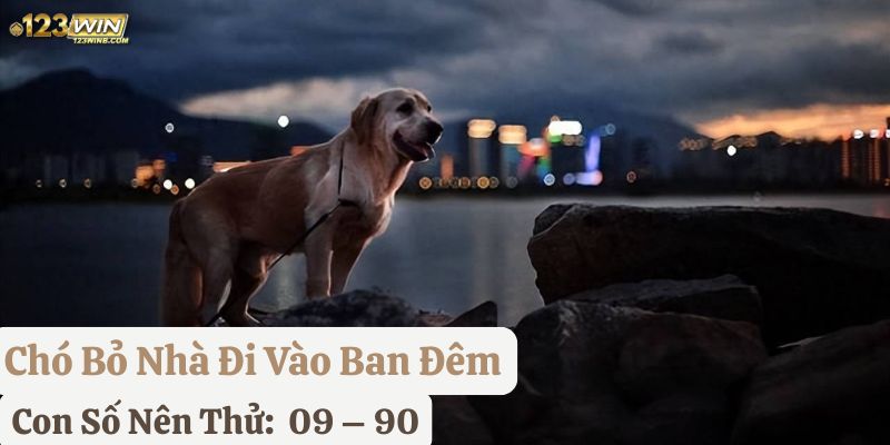 thấy chó bỏ nhà đi