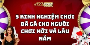 kinh nghiệm chơi đá gà 123win thumb