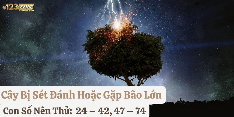 nằm mơ thấy cây cổ thụ
