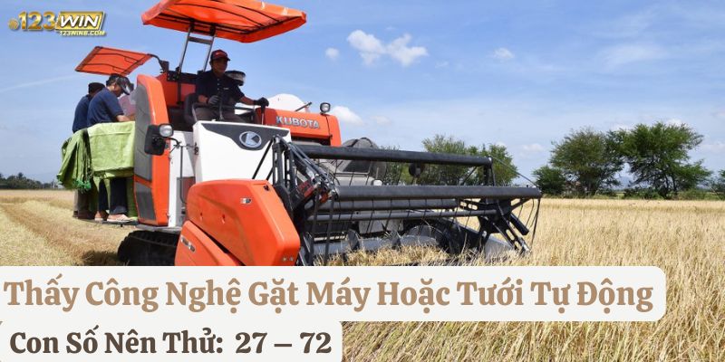 nằm mơ thấy lúa