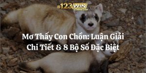mơ thấy con chồn 123win thumb