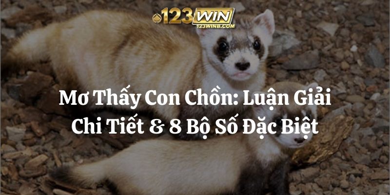 mơ thấy con chồn 123win thumb