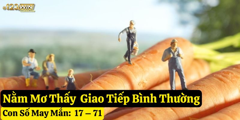 mơ người tí hon