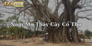 nằm mơ thấy cây cổ thụ 123win thumb