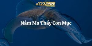 nằm mơ thấy con mực 123win thumb