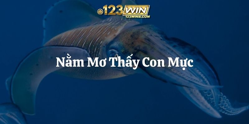nằm mơ thấy con mực 123win thumb