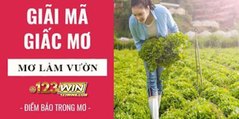 nằm mơ thấy làm vườn 123win thumb