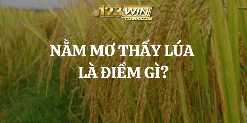 nằm mơ thấy lúa 123win thumb