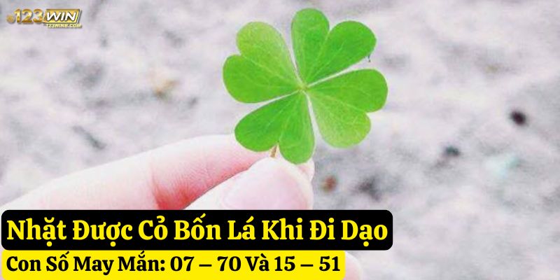 thấy nhặt cỏ bốn lá