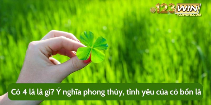 nhặt được cỏ bốn lá 123win thumb